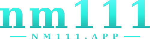 nm111 logo